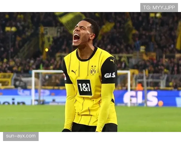 多特防线不稳问题持续存在，对赛季战绩稳定性造成阶段性影响